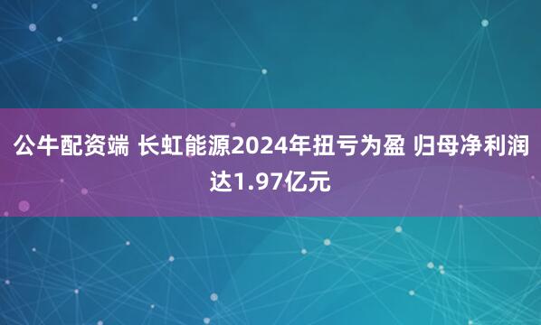 公牛配资端 长虹能源2024年扭亏为盈 归母净利润达1.97亿元