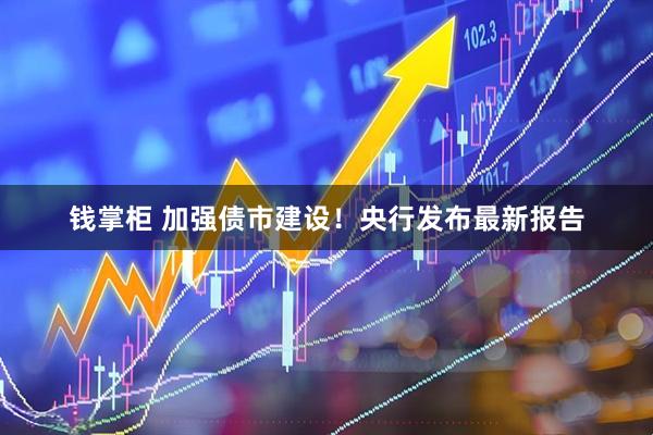 钱掌柜 加强债市建设！央行发布最新报告