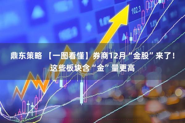 鼎东策略 【一图看懂】券商12月“金股”来了！这些板块含“金”量更高