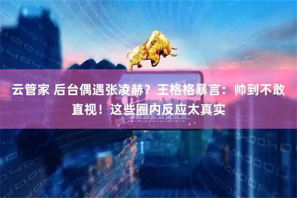 云管家 后台偶遇张凌赫？王格格暴言：帅到不敢直视！这些圈内反应太真实