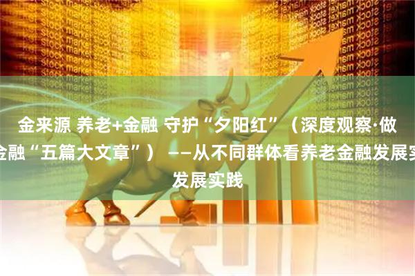 金来源 养老+金融 守护“夕阳红”（深度观察·做好金融“五篇大文章”） ——从不同群体看养老金融发展实践