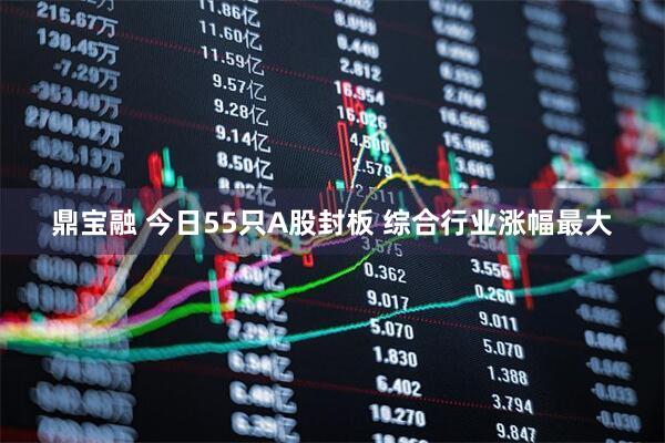 鼎宝融 今日55只A股封板 综合行业涨幅最大