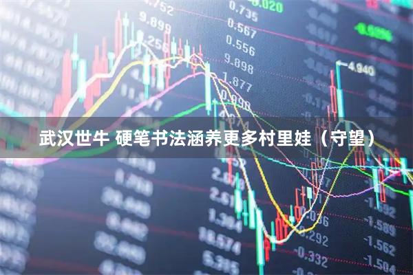 武汉世牛 硬笔书法涵养更多村里娃（守望）